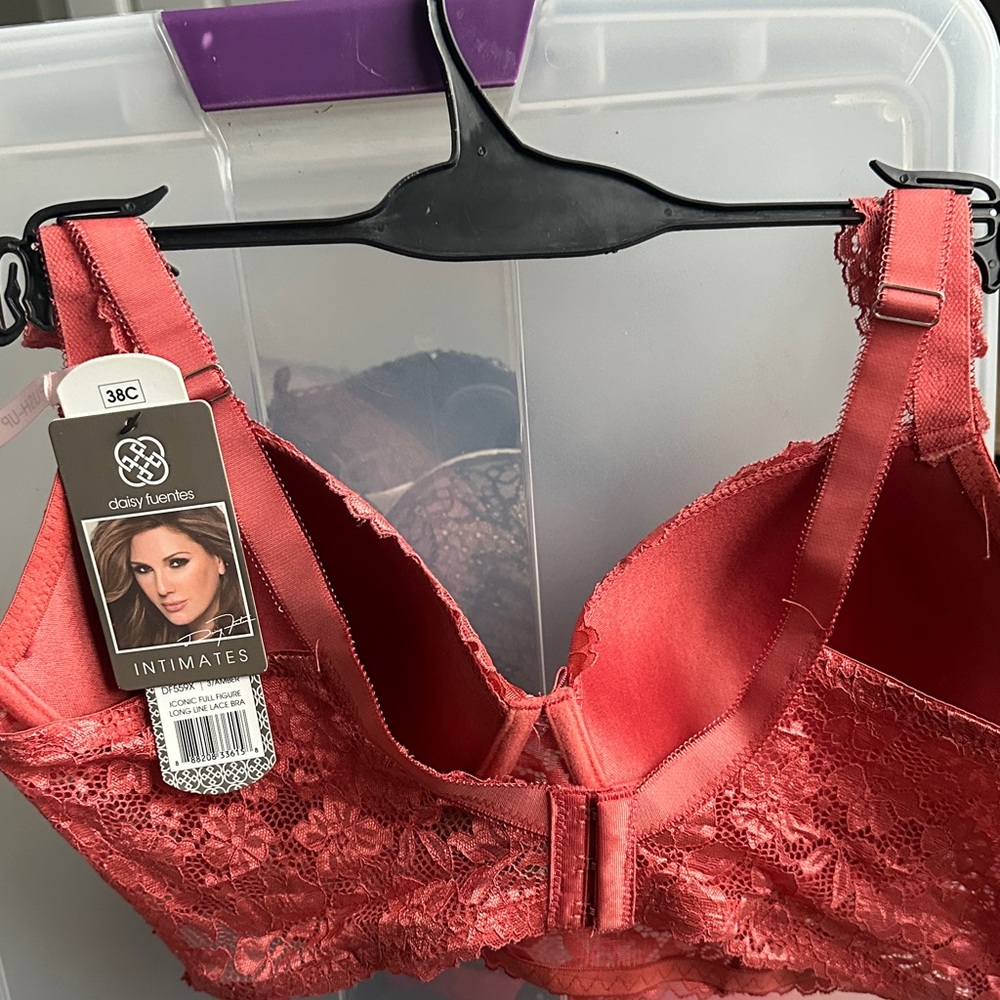 Daisy Fuentes Vibrant Lace Bralette - Picture 2 of 3